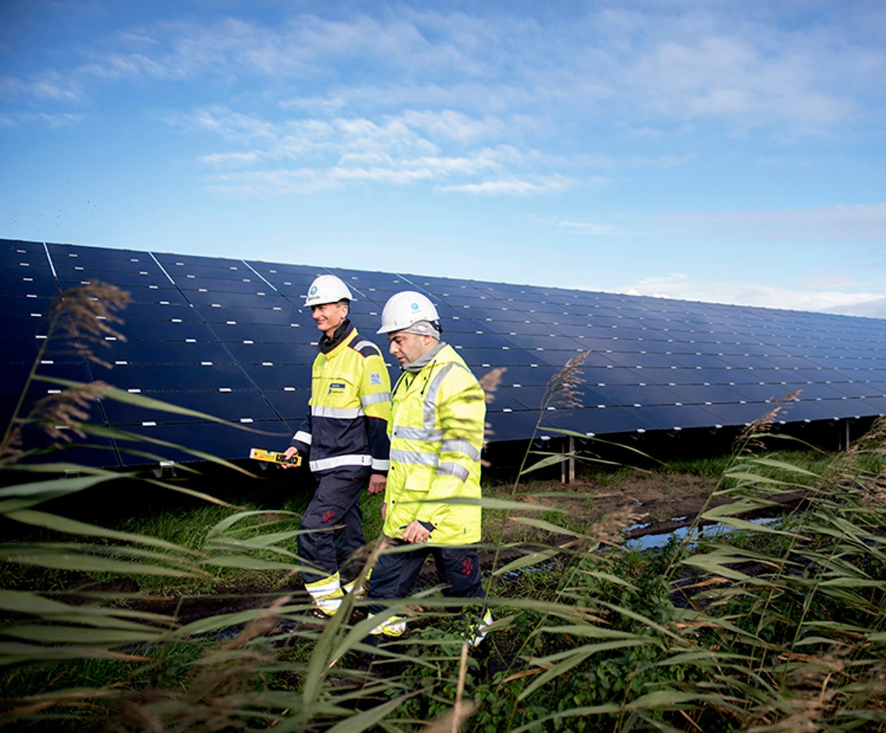 Trabalhadores em frente a painéis solares